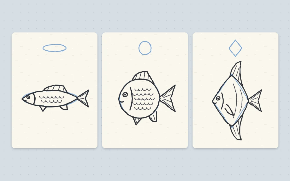 Three fish body shapes side by side on different bases: a long thin oval, a nearly round circle and a tall diamond, each with a tail and fins